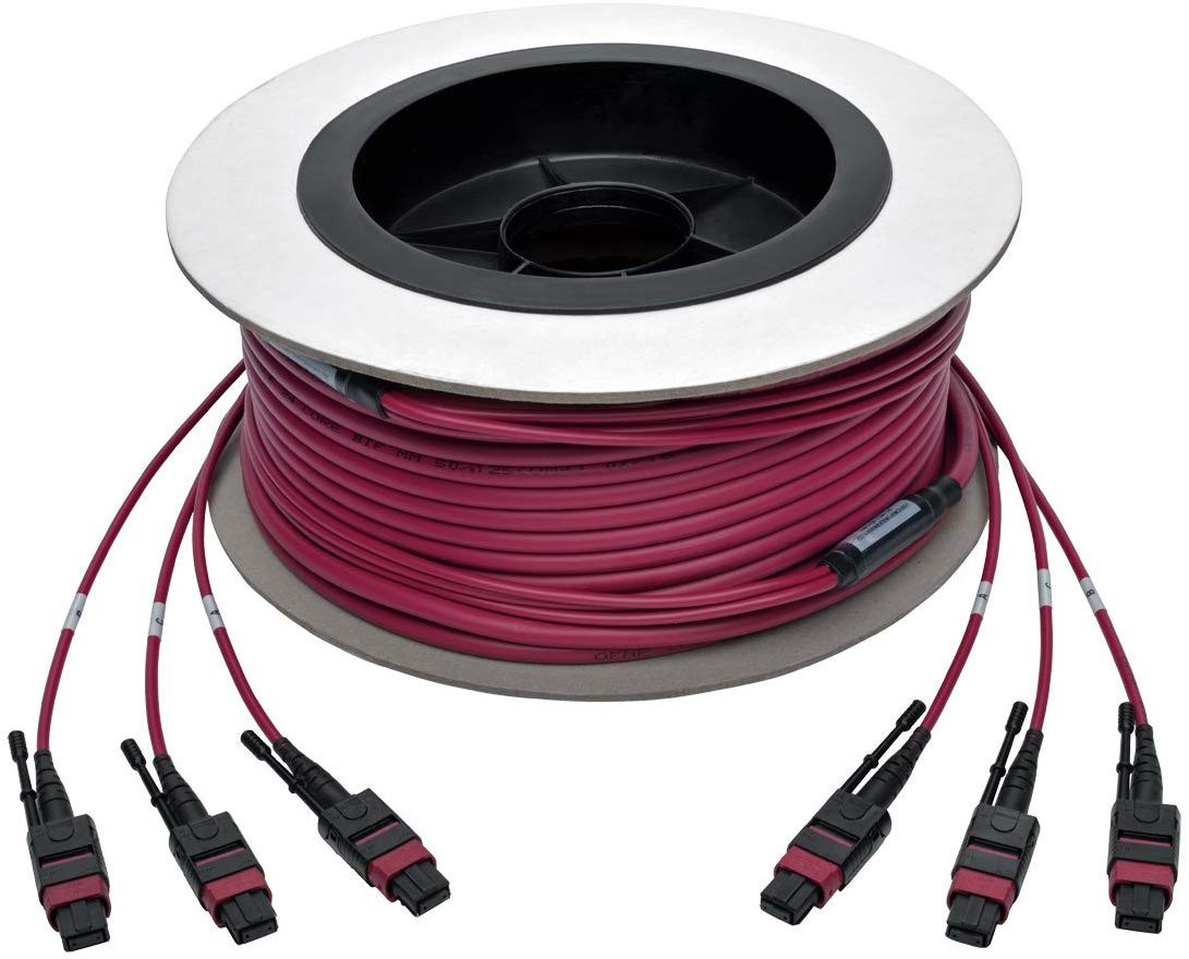 Tripp Lite N858-23M-3X8-MG MTP/MPO Multimode Base-8 Trunk Cable 23 M