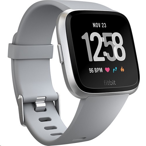 Fitbit Versa Fitness Watch Gray/Silver Aluminum FB504SRGY