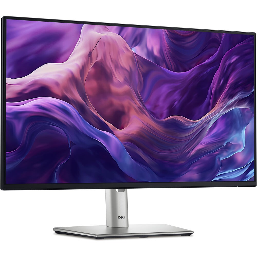 Dell 24 Full Hd 5ms 100Hz Ips Led Monitor P2425H