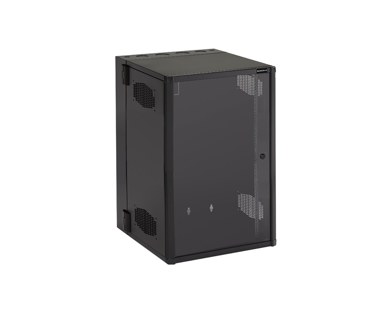 Black Box Cabinet Double-Hinged Plexiglass Window Door M6 19U WMD19-2425-PQU